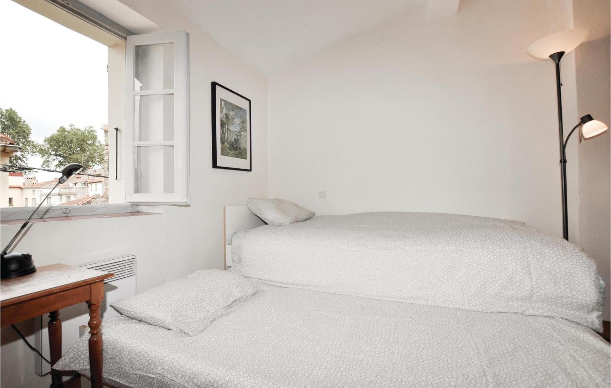 Amazing Home In Ceret With Wifi 外观 照片